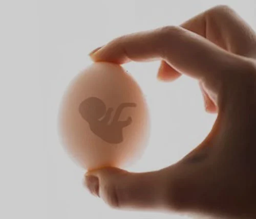 Donor and surrogacy programme — ART Act compliant